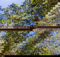 Bribie Island Bicentennial Trails - Accommodation Bookings
