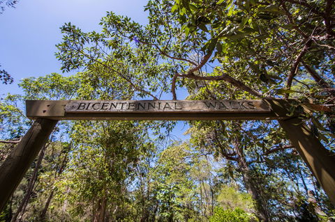 Bribie Island Bicentennial Trails - Accommodation Bookings 0