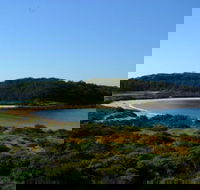 Broulee Island Nature Reserve Walk - Accommodation Bookings