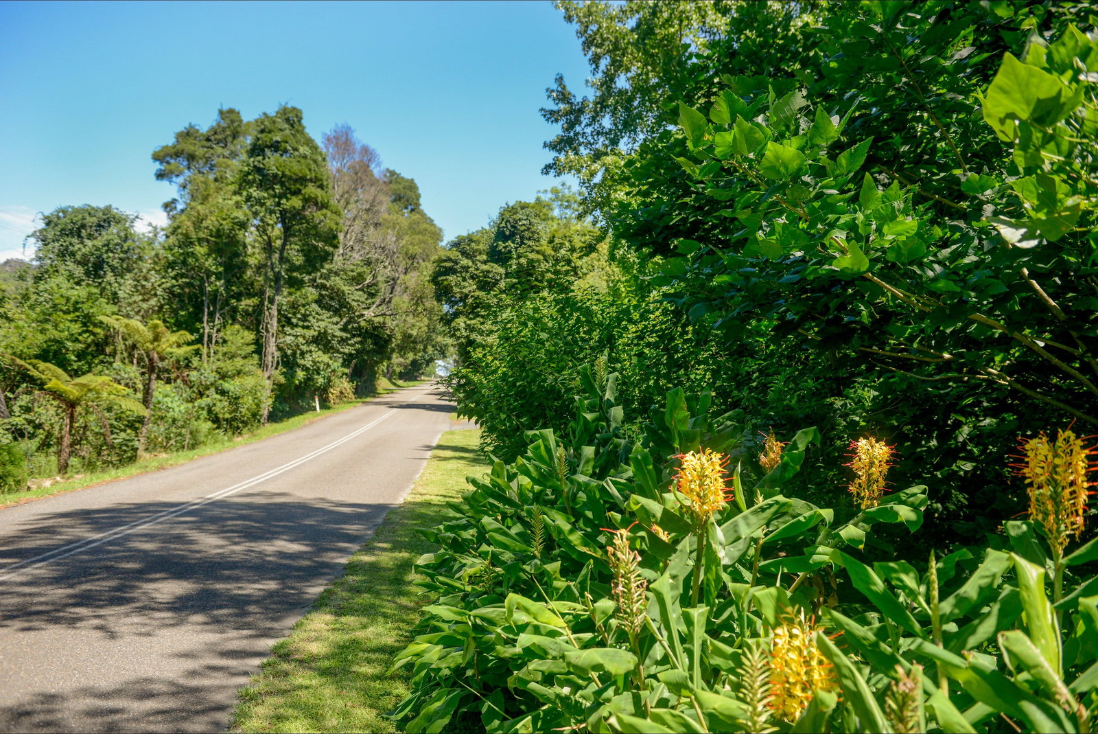 Broughton Vale NSW Accommodation Bookings