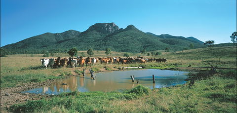 Bundaberg- Biggenden- Mount Perry Circle - Accommodation Bookings 0