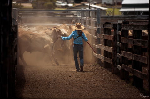 Bundaberg- Biggenden- Mount Perry Circle - Accommodation Bookings 1