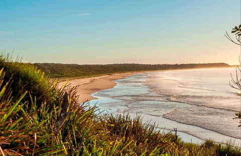 Burrawang Track - Conjola Beach To Buckleys Point - Accommodation Bookings 0