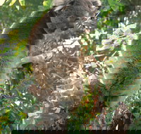 Caversham Wildlife Park - Accommodation Bookings