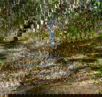 Cliff Face track - Accommodation Bookings