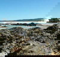 Coastal Walks - Bermagui - Accommodation Bookings
