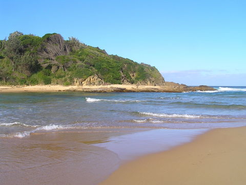 Coastal Walks - Bermagui - Accommodation Bookings 2