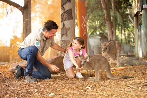 Dreamworld - Accommodation Bookings 2