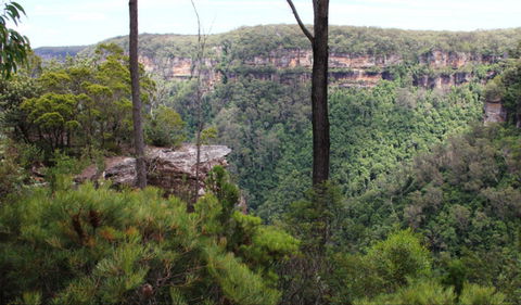 East Rim Wildflower Walking Track - Accommodation Bookings 0