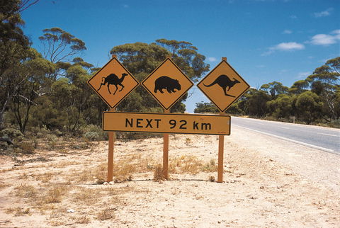 Eyre Highway - Accommodation Bookings 1