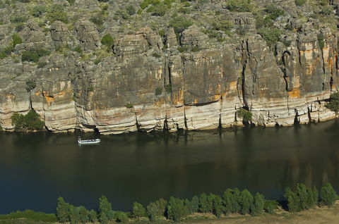 Fitzroy River - Accommodation Bookings 0