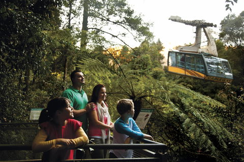 Furber Steps - Accommodation Bookings 0