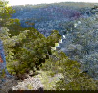 Glenbrook Gorge Track - Accommodation Bookings
