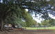 Glebe Foreshore Walk - thumb 2