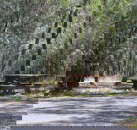 Goonoowigall State Conservation Area - Accommodation Bookings