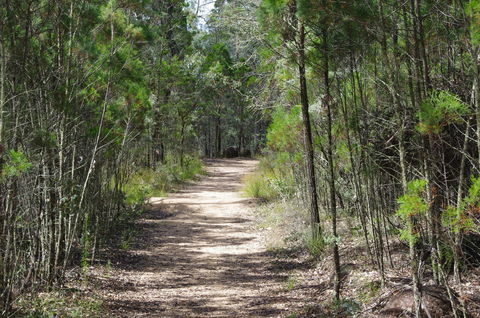 Goonoowigall State Conservation Area - Accommodation Bookings 1