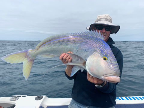GT Fishing Charters - Accommodation Bookings 1