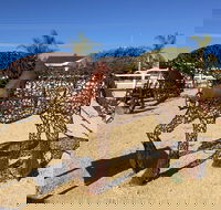 Gundersen Reserve - Accommodation Bookings