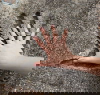 Hands of Fame Park