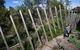 Herring Island Environmental Sculpture Park - thumb 0
