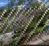 Herring Island Environmental Sculpture Park - Accommodation Bookings