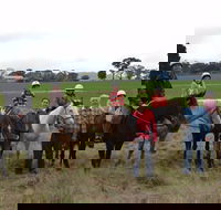 High Country Trail Rides - Accommodation Bookings
