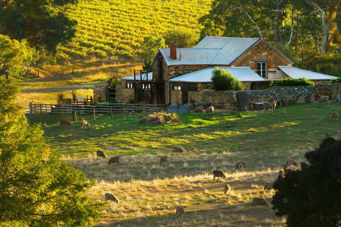 Hutton Vale Farm - Accommodation Bookings 1