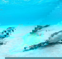 Jurien Bay - Accommodation Bookings