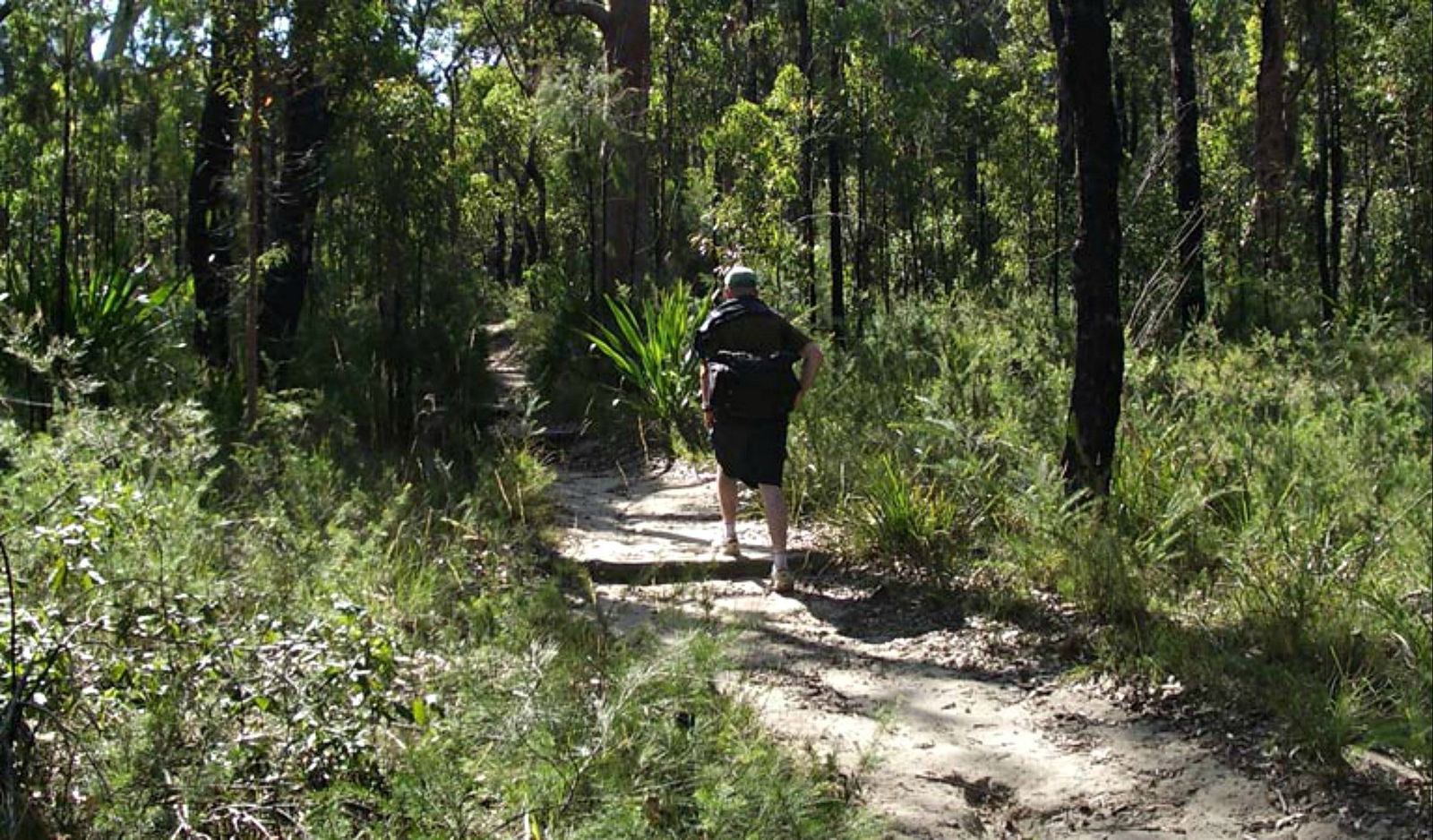 Yarrawarrah NSW Accommodation Bookings