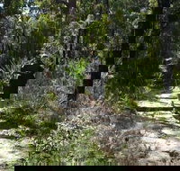 Karloo Walking Track - Accommodation Bookings