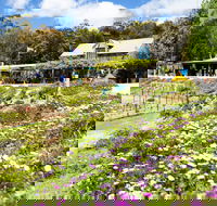 Kate's Berry Farm - Accommodation Bookings