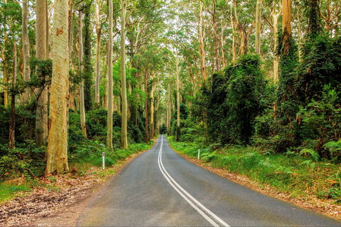 Kioloa - Accommodation Bookings 0