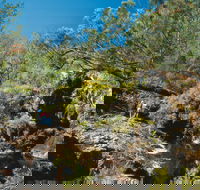 Kroombit Tops National Park - Accommodation Bookings
