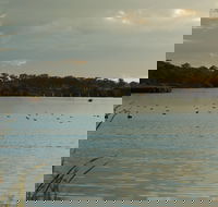 Lake Inverell Reserve - Accommodation Bookings