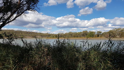 Lake Inverell Reserve - Accommodation Bookings 1