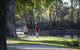 Lake Benalla - thumb 0