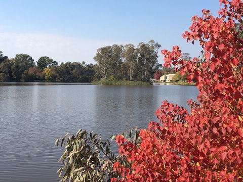 Lake Benalla - Accommodation Bookings 1
