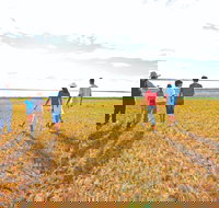 Lake Bindegolly National Park - Accommodation Bookings