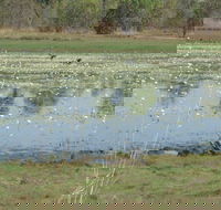 Leaning Tree Lagoon Nature Park - Accommodation Bookings