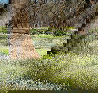 Leaghur State Park - Accommodation Bookings
