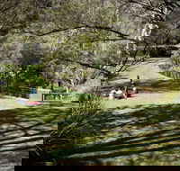 Leura Cascades picnic area - Accommodation Bookings