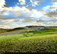 Lions Park Hodgson Vale - Accommodation Bookings