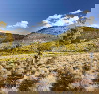 Little Mountain Walking Track - Accommodation Bookings