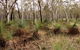 Livingstone National Park - thumb 0