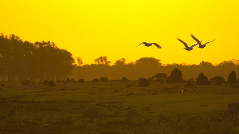 Mary River - Accommodation Bookings 0