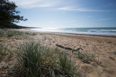 Mon Repos Beach - Accommodation Bookings 1