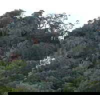 Mount Yarrowyck Nature Reserve - Accommodation Bookings