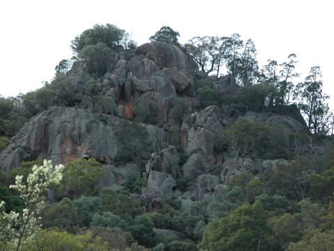 Mount Yarrowyck Nature Reserve - Accommodation Bookings 0