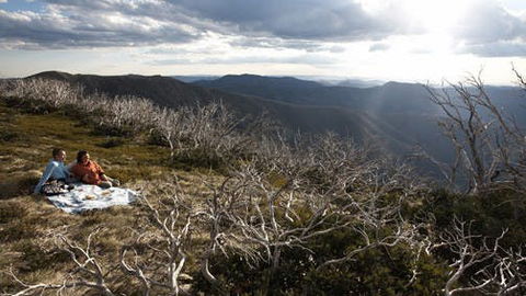 Mount Hotham - Accommodation Bookings 2