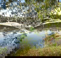 Murray Valley National Park - Accommodation Bookings